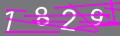 capsa